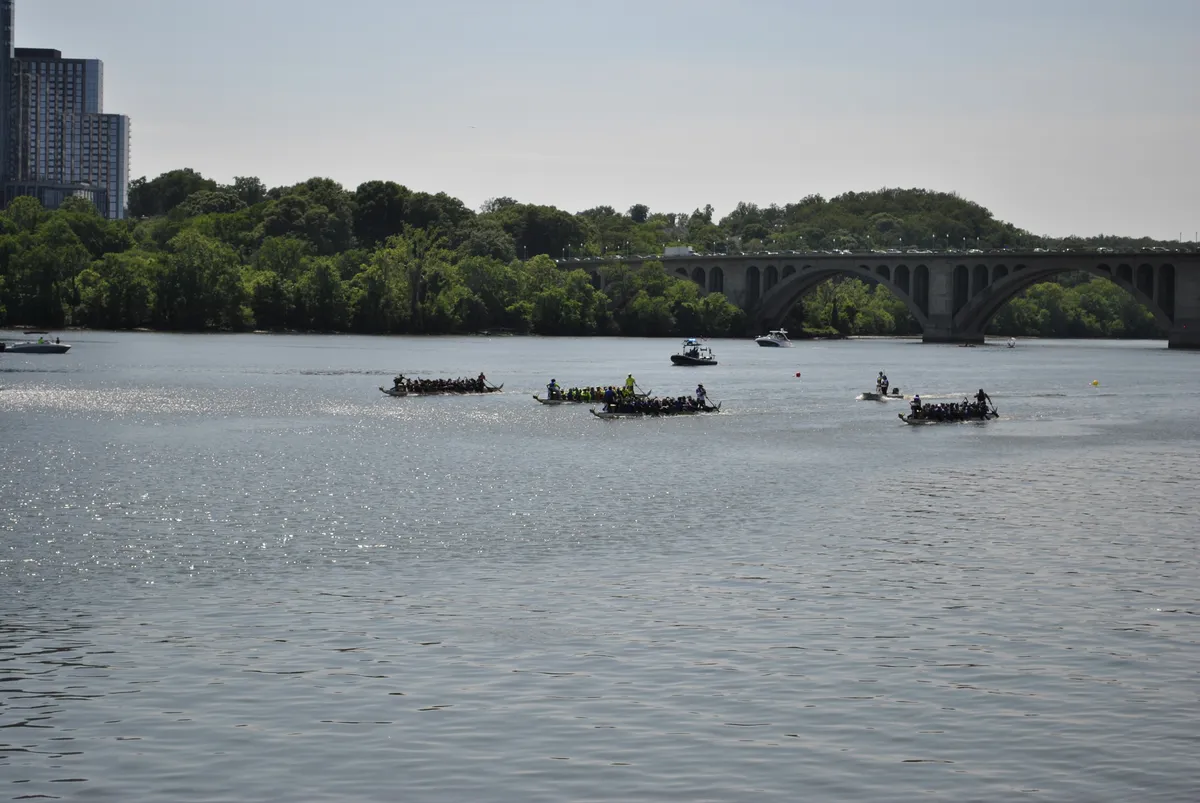DC Dragon Boat Festival at Georgetown Waterfront Park